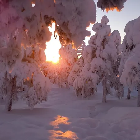 Apartamento Arctic Deluxe *