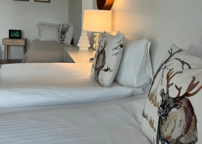 Arctic Deluxe 로바니에미