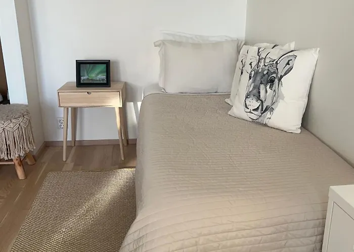 アパート Arctic Deluxe ロヴァニエミ