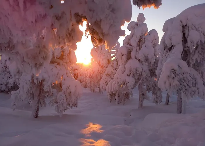 아파트 Arctic Deluxe *